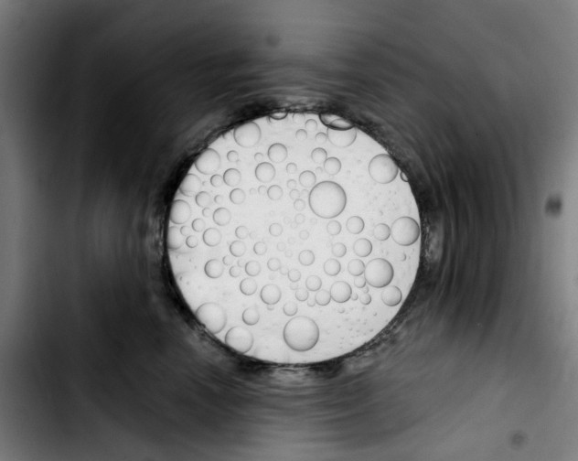 X0000103420666200810241035