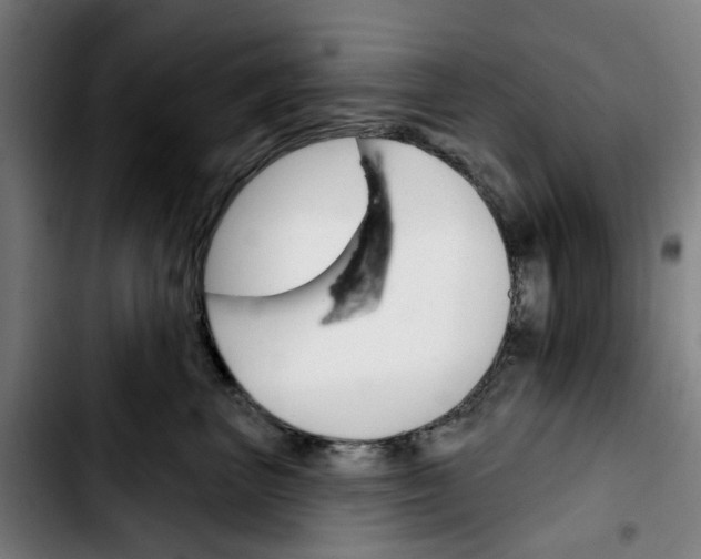 X0000103420667200810241035