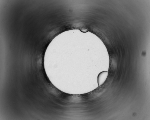 X0000103420668200810241035