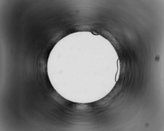 X0000103420669200810241035
