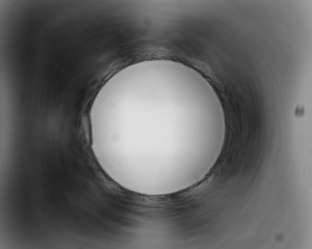 X0000103420672200810241036