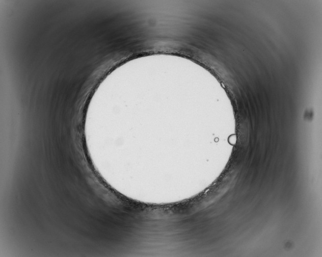 X0000103420673200810241035