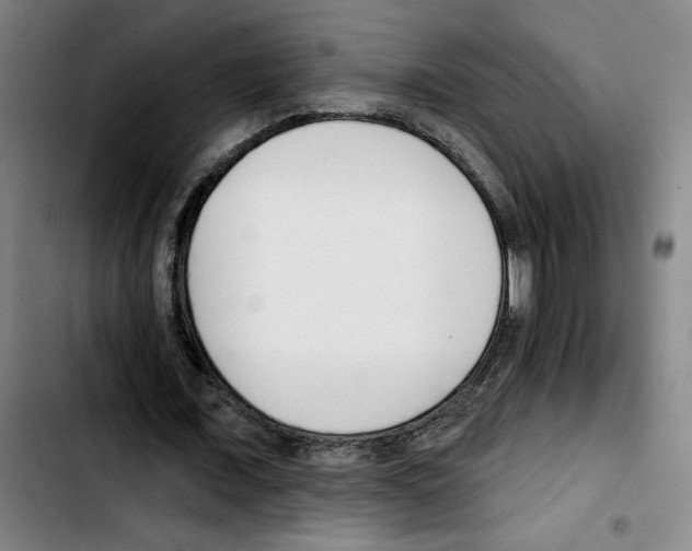 X0000103420675200810241035