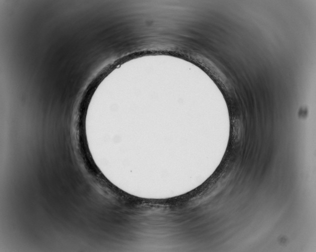 X0000103420676200810241035