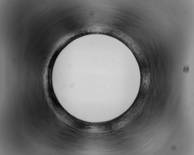 X0000103420678200810241035
