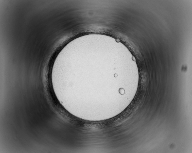 X0000103420679200810241035