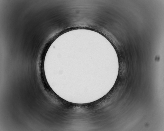 X0000103420680200810241035