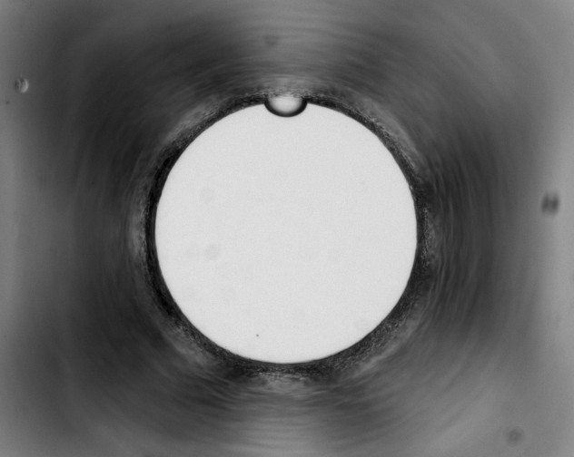 X0000103420681200810241035