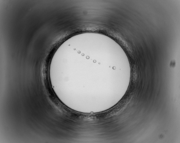 X0000103420683200810241035