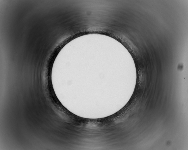 X0000103420684200810241035