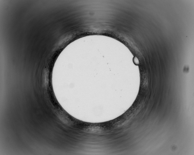 X0000103420685200810241035