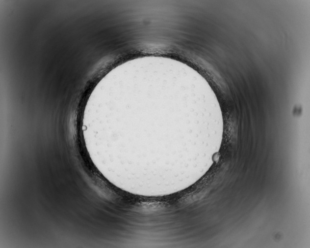 X0000103420686200810241034