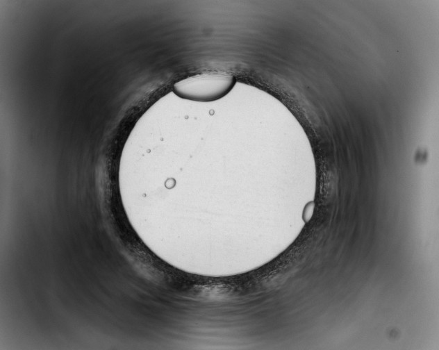X0000103420688200810241034