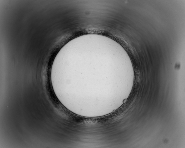 X0000103420690200810241034