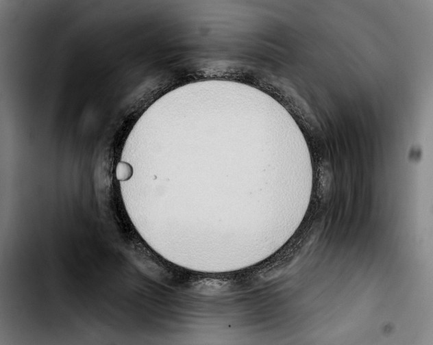 X0000103420691200810241034