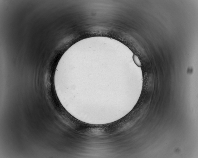 X0000103420692200810241034