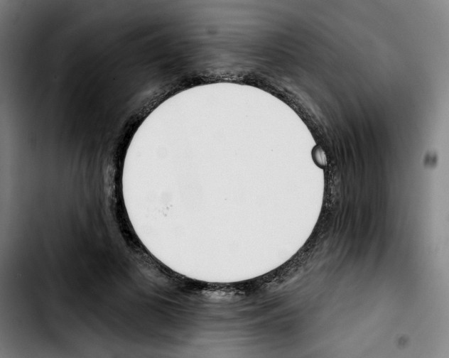 X0000103420693200810241034