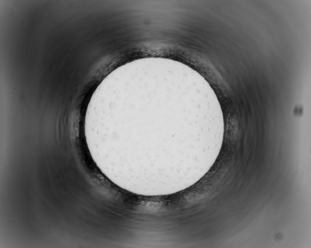 X0000103420694200810241034