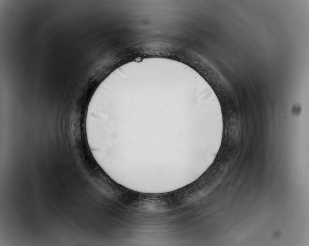 X0000103420696200810241034
