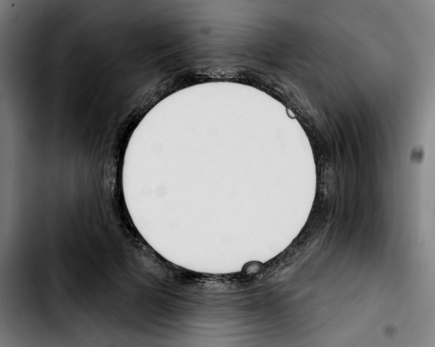 X0000103420697200810241034
