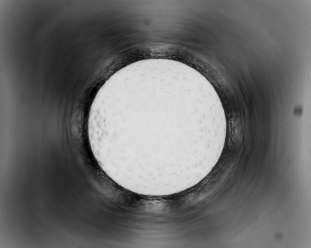 X0000103420698200810241034