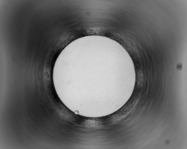 X0000103420699200810241034