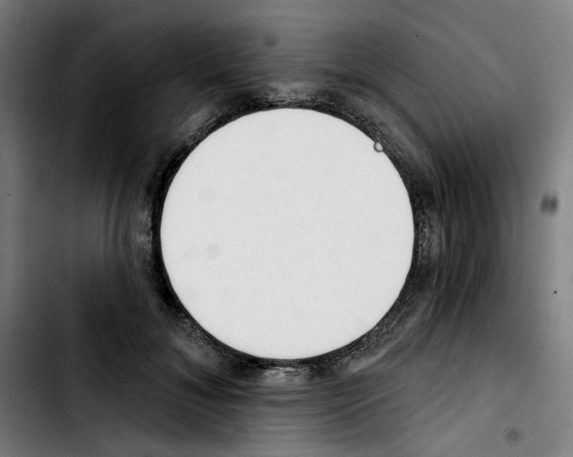 X0000103420700200810241034