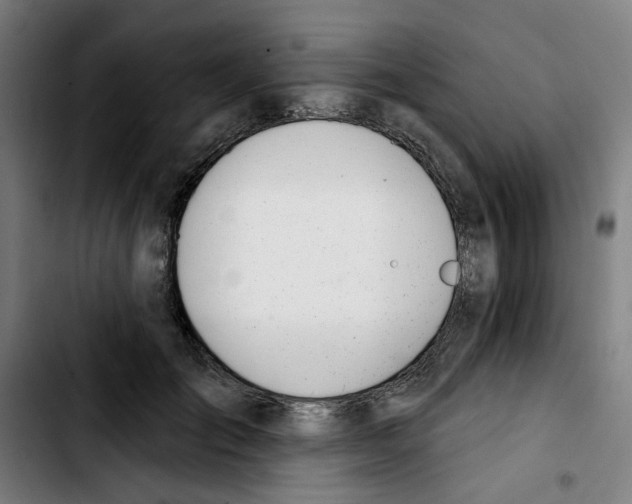 X0000103420701200810241034