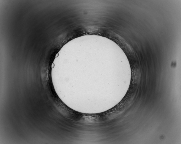 X0000103420703200810241034