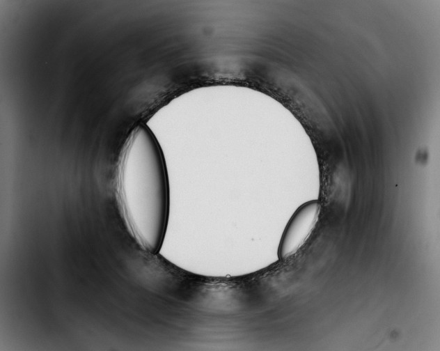 X0000103420704200810241034
