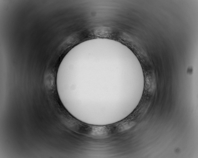 X0000103420705200810241034
