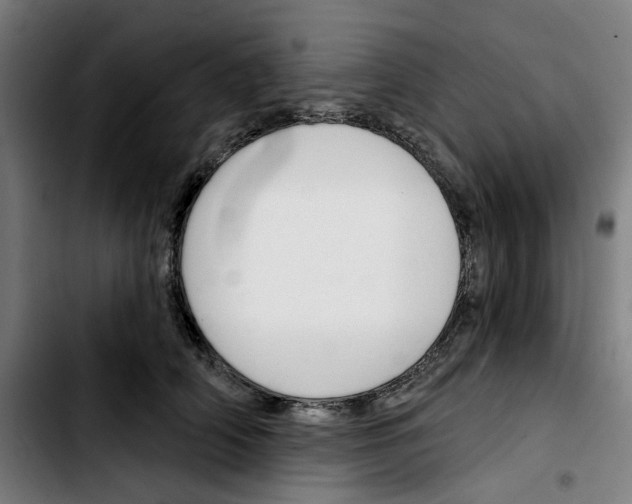 X0000103420706200810241034