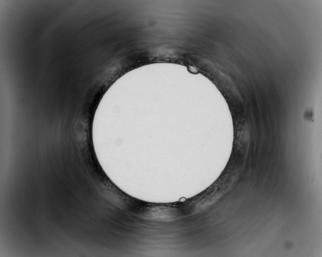 X0000103420708200810241034