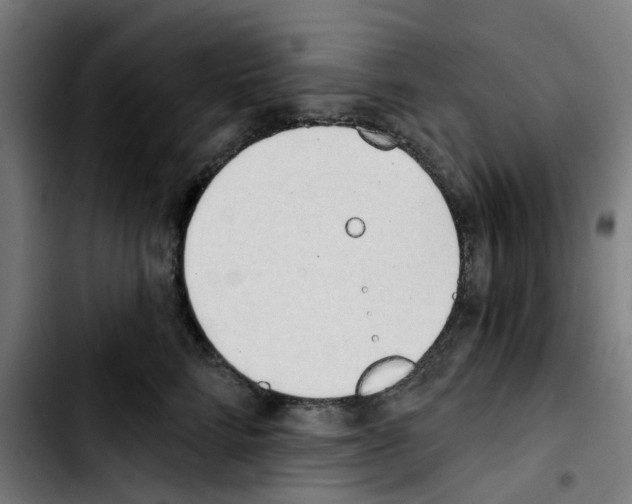 X0000103420712200810241034