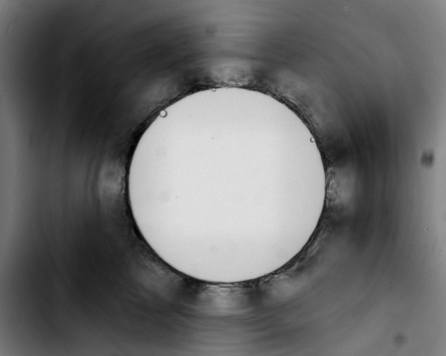 X0000103420713200810241034