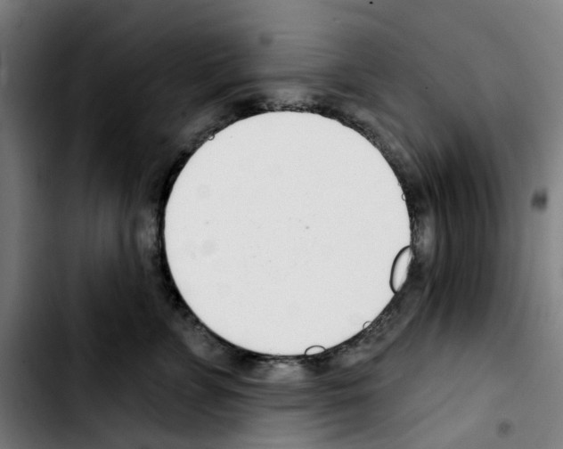 X0000103420715200810241034