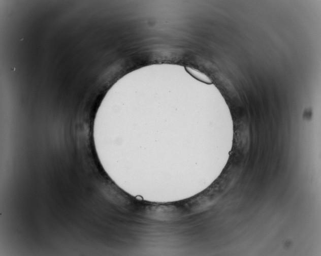 X0000103420716200810241034