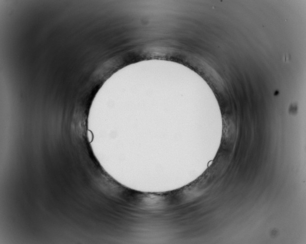 X0000103420718200810241034