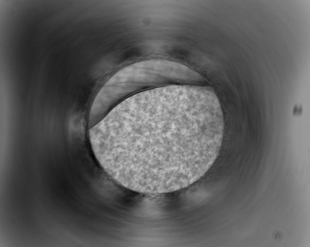 X0000103420720200810241034