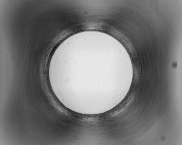 X0000103420721200810241033