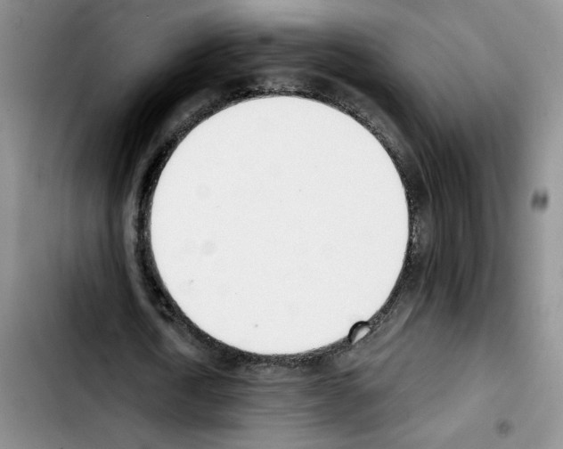 X0000103420722200810241033