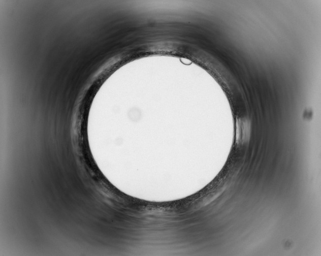 X0000103420723200810241033