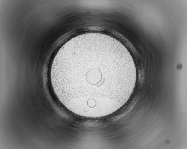 X0000103420725200810241033