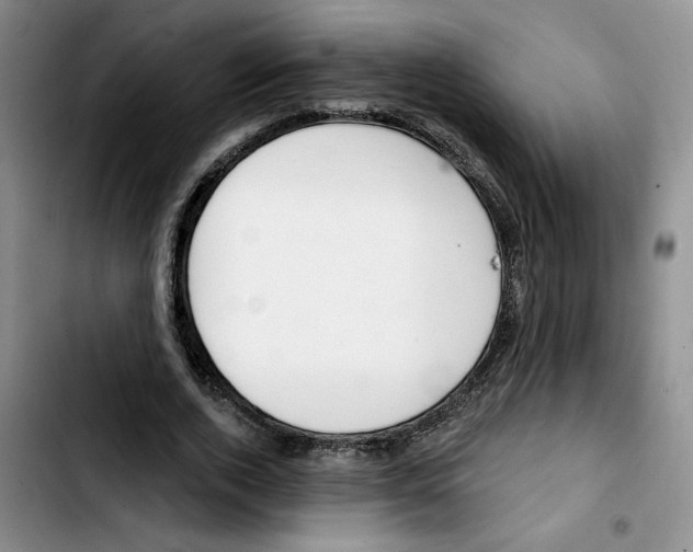 X0000103420728200810241033