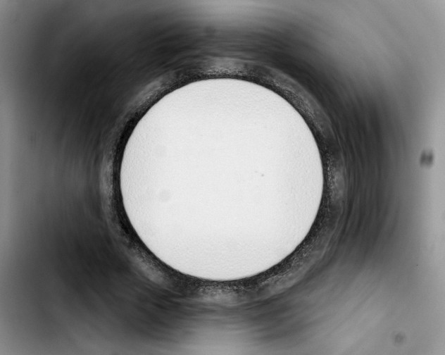 X0000103420729200810241033