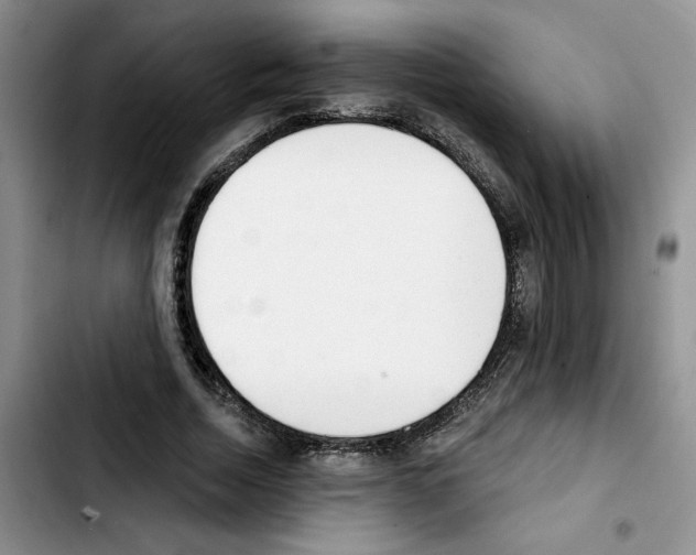 X0000103420730200810241033