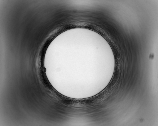 X0000103420731200810241033