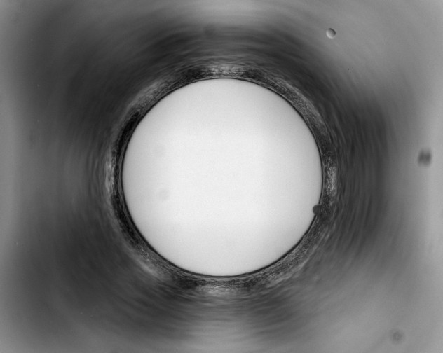 X0000103420733200810241033
