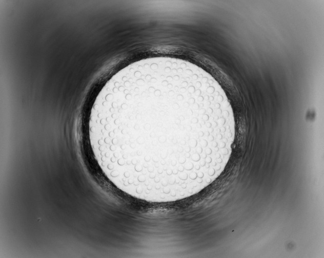 X0000103420734200810241033