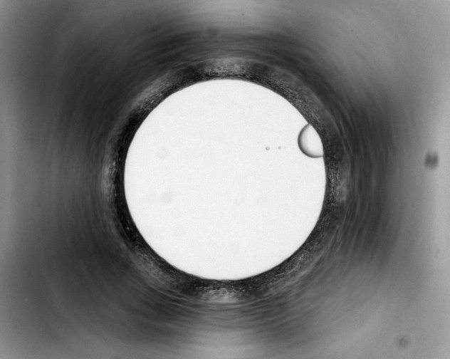 X0000103420735200810241033